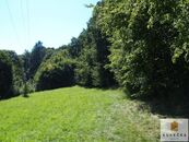 Prodej lesního pozemku o výměře 1997 m2, Dívčí Hrad, okr. Bruntál, cena 160000 CZK / objekt, nabízí 