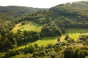Prodej lesa, 21 679 m2, Nýdek, cena 1680000 CZK / objekt, nabízí
