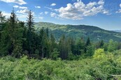 Prodej rozlehlého lesa, 31 907 m2, v obci Dolní Lomná, cena 590000 CZK / objekt, nabízí