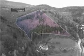 Prodej lesní parcely 42 597 m2 v Nýdku, cena 3300000 CZK / objekt, nabízí 