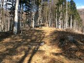 Prodej lesa 27 814 m, Morávka, cena 35 CZK / m2, nabízí 