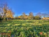 Prodej, pozemky/bydlení, 1049 m2, Rybníčky 100, 74781 Otice, Opava [ID 77874], cena 2990000 CZK / objekt, nabízí 