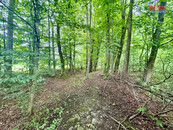 Prodej lesa, 29142 m2, Frýdek-Místek, cena 999999 CZK / objekt, nabízí