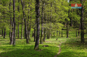 Prodej lesa, 2146 m2, Nýdek, cena 169000 CZK / objekt, nabízí