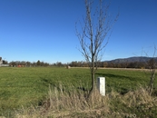 Prodej, Pozemek pro stavbu RD, bytů, Návsí, cena 1216 CZK / m2, nabízí 