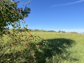 Prodej, Pozemek pro stavbu RD, bytů, Příbor, cena 2200 CZK / m2, nabízí 